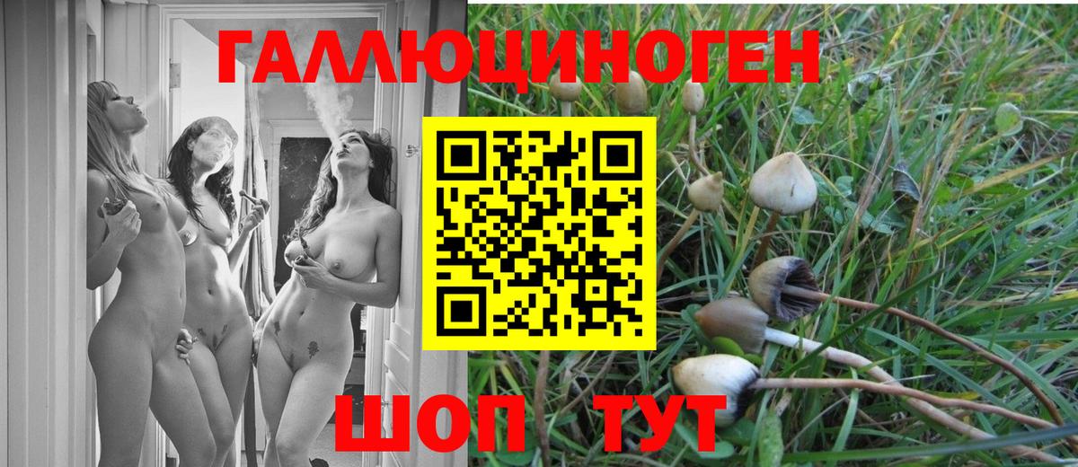 Галлюциногенные грибы мухоморы Хасавюрт