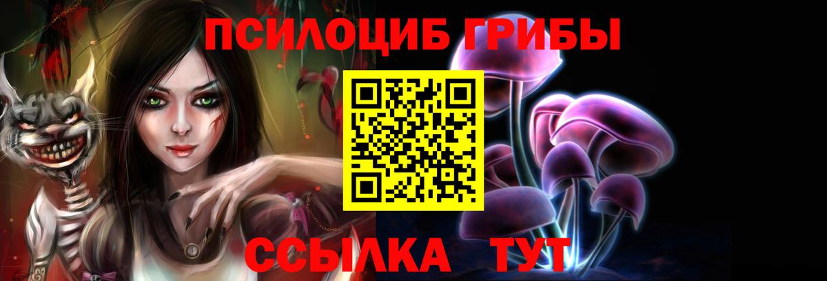 где купить наркотик  Вход с VPN  Хасавюрт  Галлюциногенные грибы мухоморы 