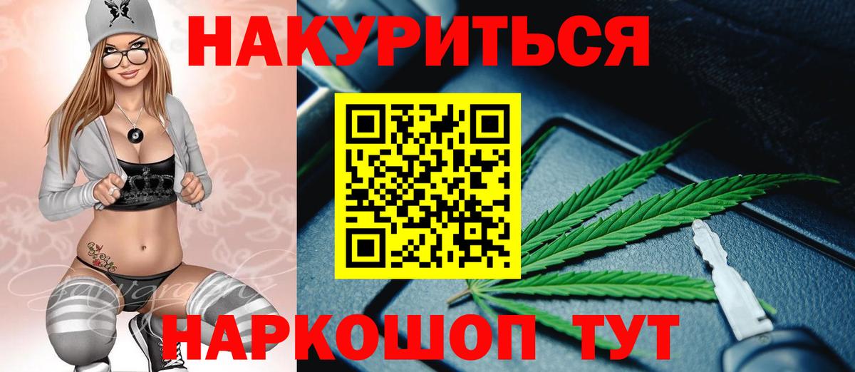 Каннабис сатива Хасавюрт